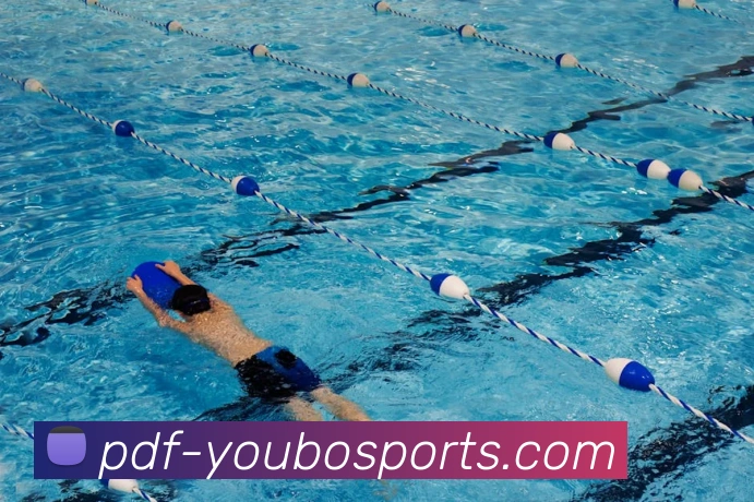 友博体育平台生态图