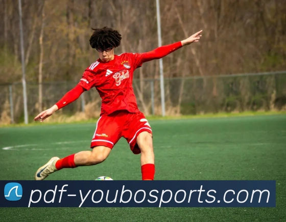 友博体育APP 封面图